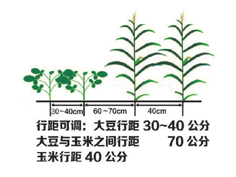 2BDYF-5型大豆玉米帶狀復(fù)合播種機