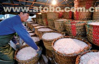 云浮蝦皮 富華海產(chǎn)品加工廠，您的特級(jí)蝦皮與海產(chǎn)加工優(yōu)質(zhì)之選